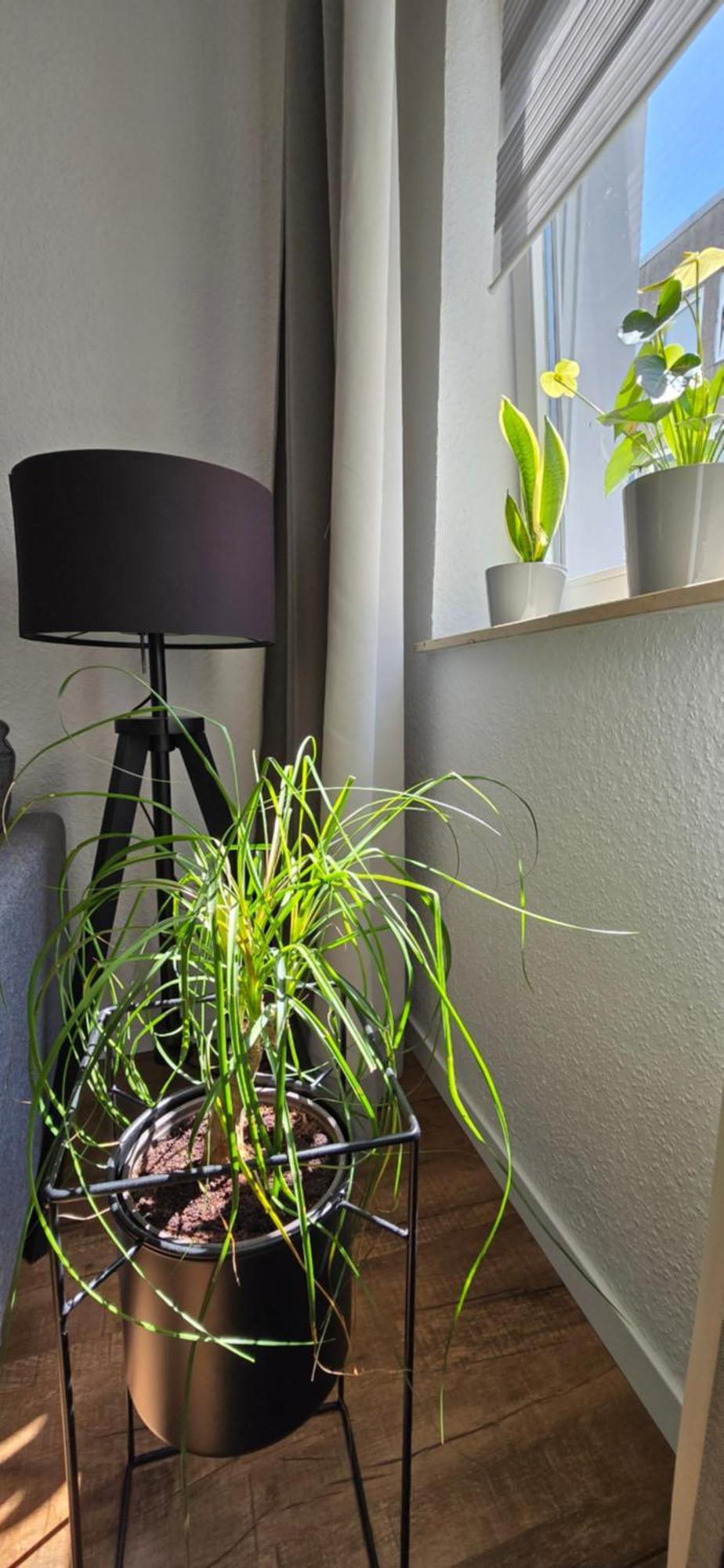 Apartment Nowa 1 *